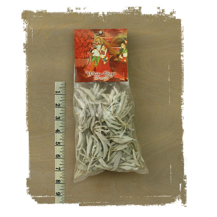 White Sage Smudge Clusters - 2oz bag