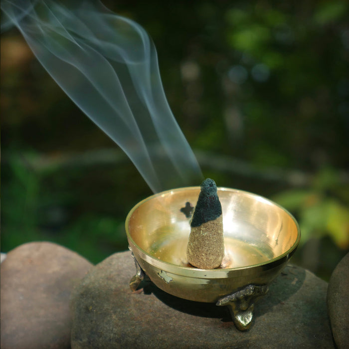 Palo Santo and Cinnamon - Protection & Prosperity -  6 Incense Cones