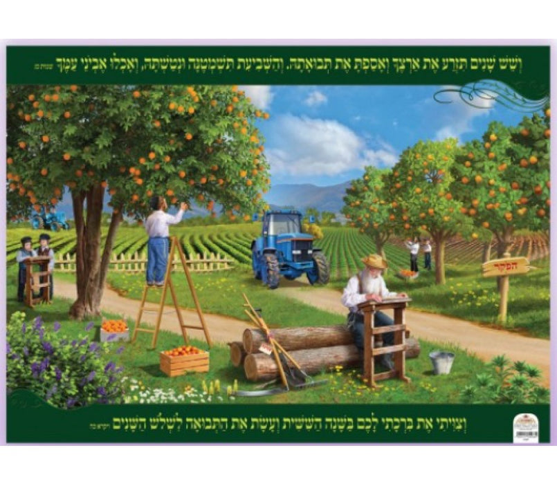 Laminated Colorful Wall Poster - A Field During the Shmita (Sabbatical) YearLaminated Colorful Wall Poster - A Field During the Shmita (Sabbatical) Year