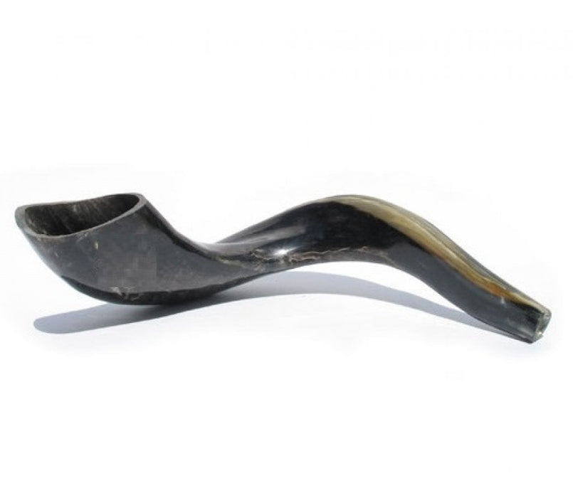 Large Black Kosher Ram's Horn Shofar Polished Made in IsraelLarge Black Kosher Ram's Horn Shofar Polished Made in Israel