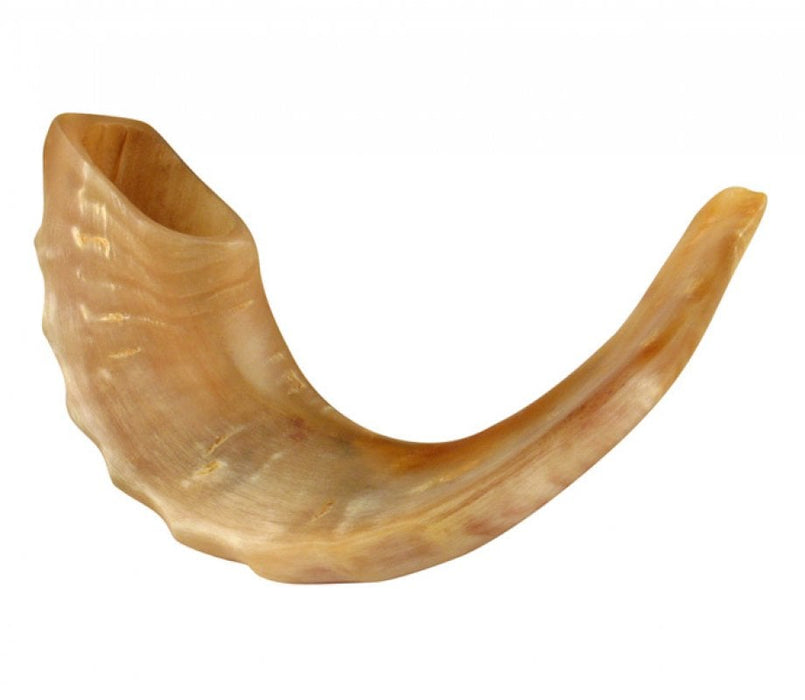 Medium Rams Horn Shofar - PolishedMedium Rams Horn Shofar - Polished