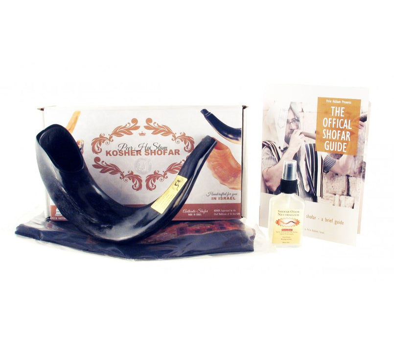 Polished Black Ram's Horn Shofar with Bag and Cleaning Spray Gift SetPolished Black Ram's Horn Shofar with Bag and Cleaning Spray Gift Set