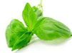 Angel’s Mist Basil Essential Oil