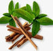 Angel’s Mist Cinnamon Essential Oil