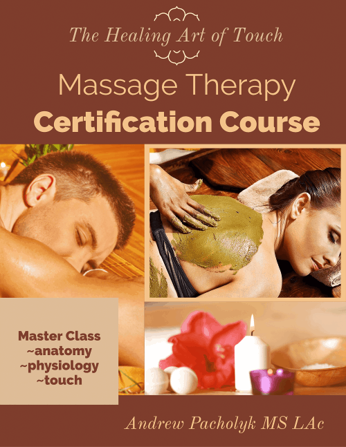 Massage Therapy Course