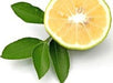 Angel’s Mist Bergamot Essential Oil