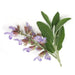 Angel’s Mist Clary Sage Essential Oil