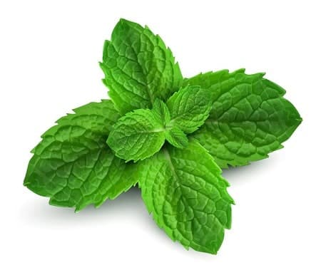 Angel’s Mist Peppermint Essential Oil