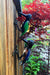 Colorful Recycled Oil Drum Hanging Woodpecker Sculpture - Culture Kraze Marketplace.com