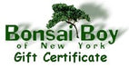 Gift Certificate - Personalized Tree Pictorial - Culture Kraze Marketplace.com