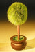 Mini Artificial Topiary - Culture Kraze Marketplace.com