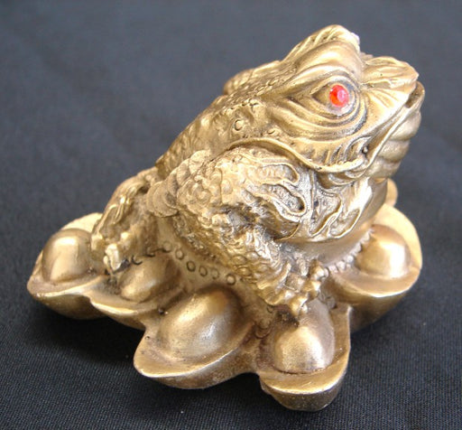Brass Money Frog - Culture Kraze Marketplace.com