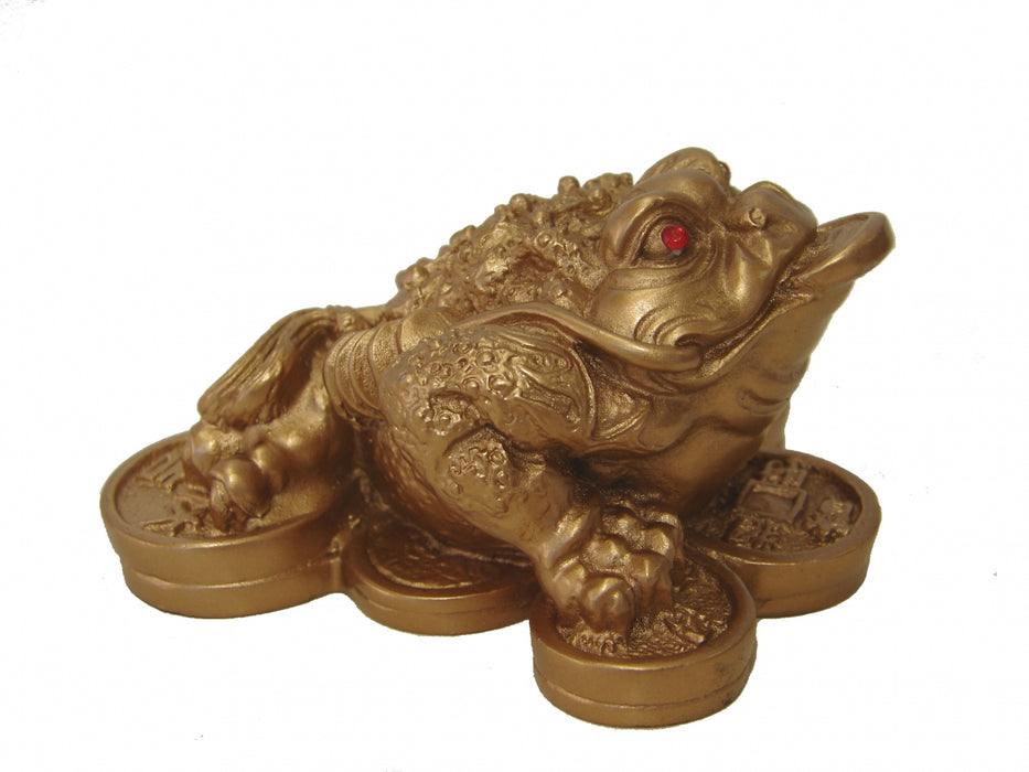 Golden Money Frog - Culture Kraze Marketplace.com