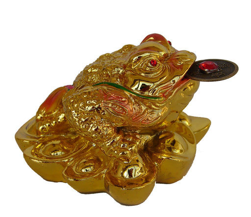 Golden Feng Shui Money Frog with Coin - Culture Kraze Marketplace.com